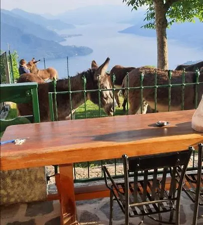 Melissa Apartman Vercana