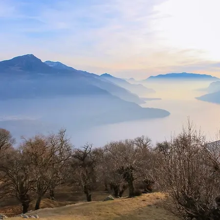 Lejlighed Melissa Vercana